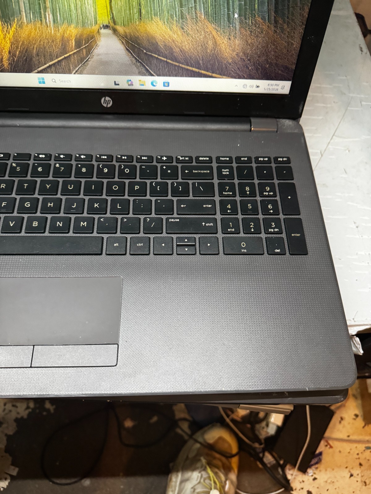 HP 255 G6 AMD E2-9000e Radeon R2 1TB HDD 8GB RAM Laptop Win11 Pro #5790