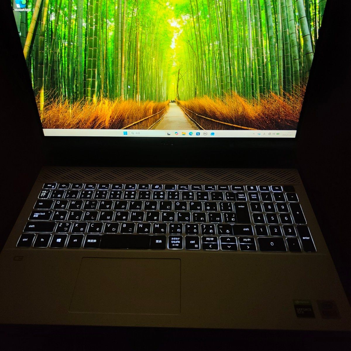 Dell G15 5510 15.6″ i5-10500H 8GB 512GB SSD GeForce GTX 1650