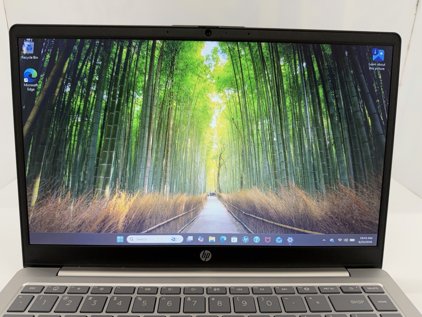 HP 14” Windows 11 256GB SSD 4GB RAM AMD RYZEN 3 7320U @ 2.40GHz 14-EM0349NR