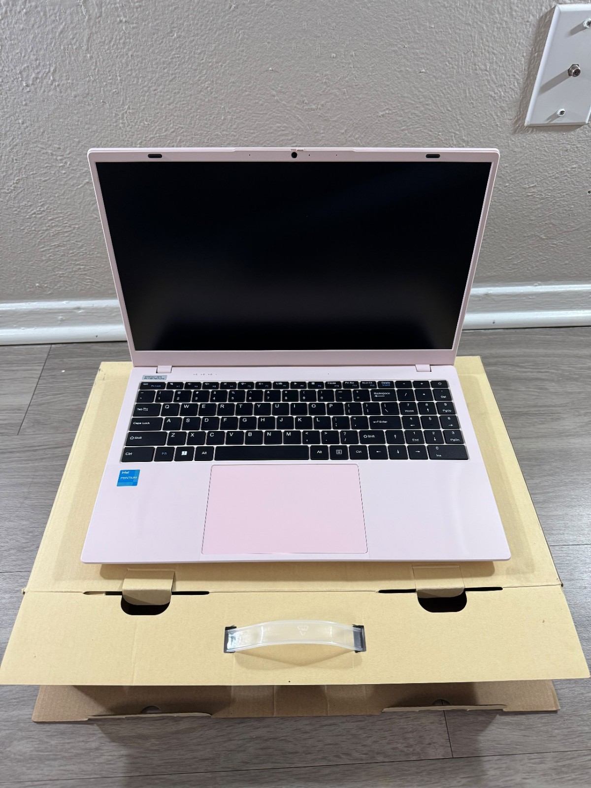 RNRUO 15.6″ Pink Laptop Intel Pentium Gold 6500Y 8GB Win11 Home