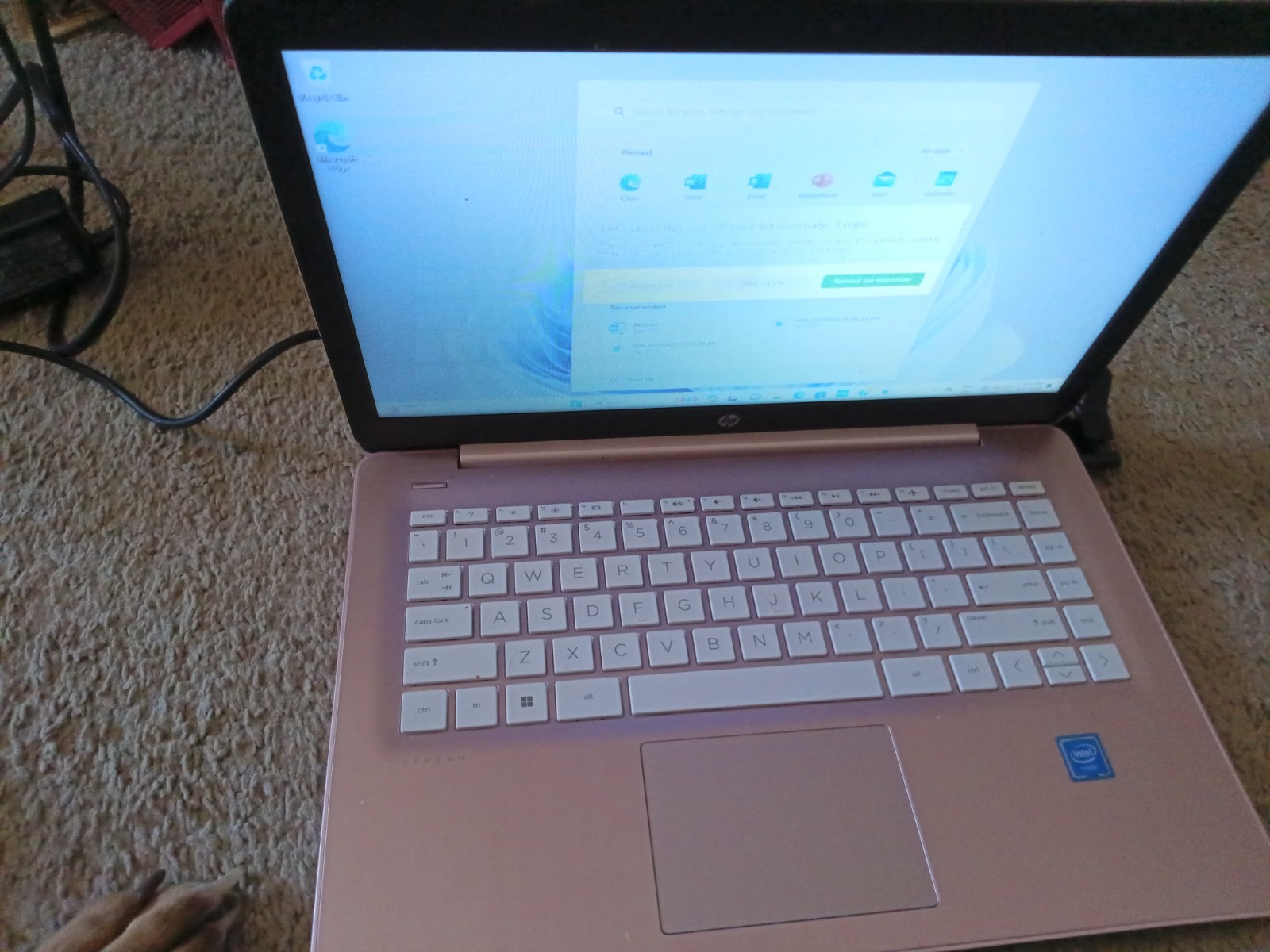 HP Stream 14-cb172wm 14″ (64 GB, Intel Celeron N4000, 1.10 GHz, 4 GB) Laptop…