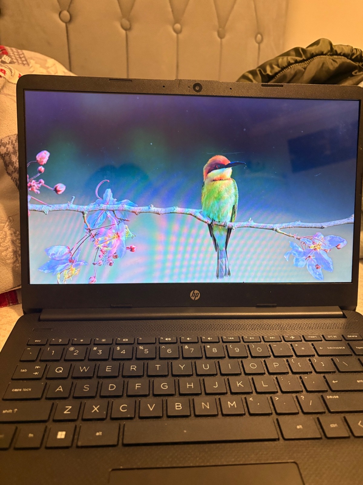 laptop Hp 14’ intel celeron 4GB memory 6r GB eMMC jet black