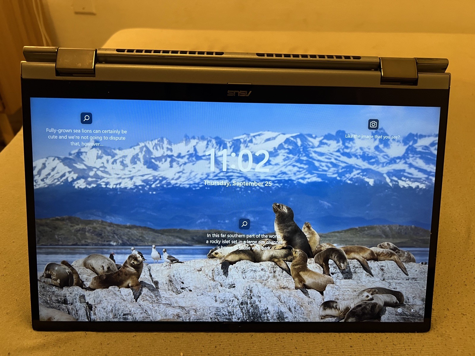 Asus ZeenBook Q406DA Ryzen 5 3500U AMD Vega 8 Touchscreen Display flip tablet