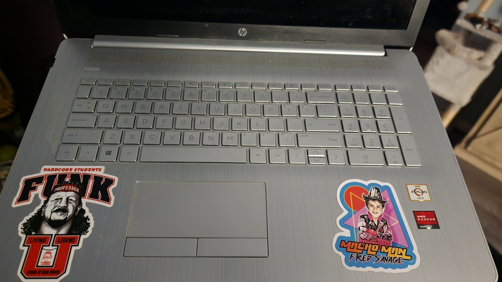 HP 17-ca2020nr 17.3″ Notebook – AMD Athlon Gold 3150U 8GB 1TB BD (Please Read!)