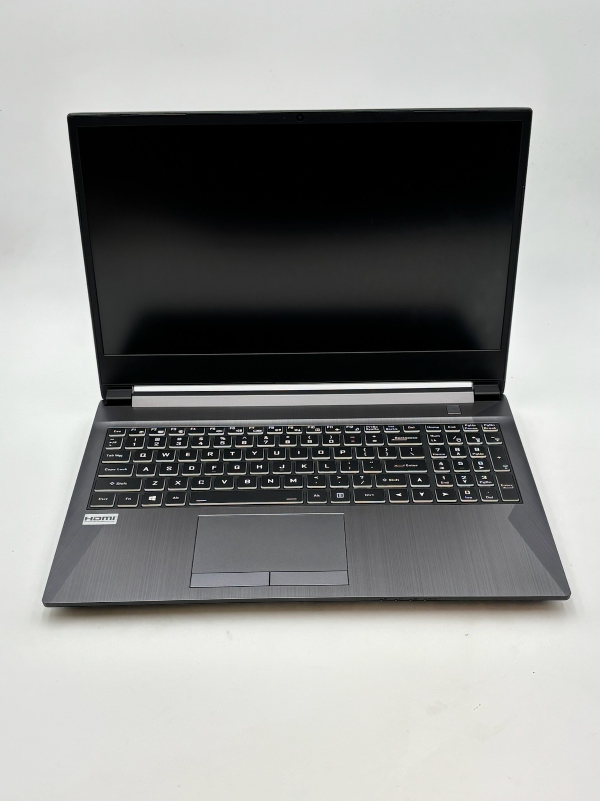 Sager Gaming Laptop NH58DD 15.6″ 512 GB SSD 48 GB RAM i7-10875H RTX 2060