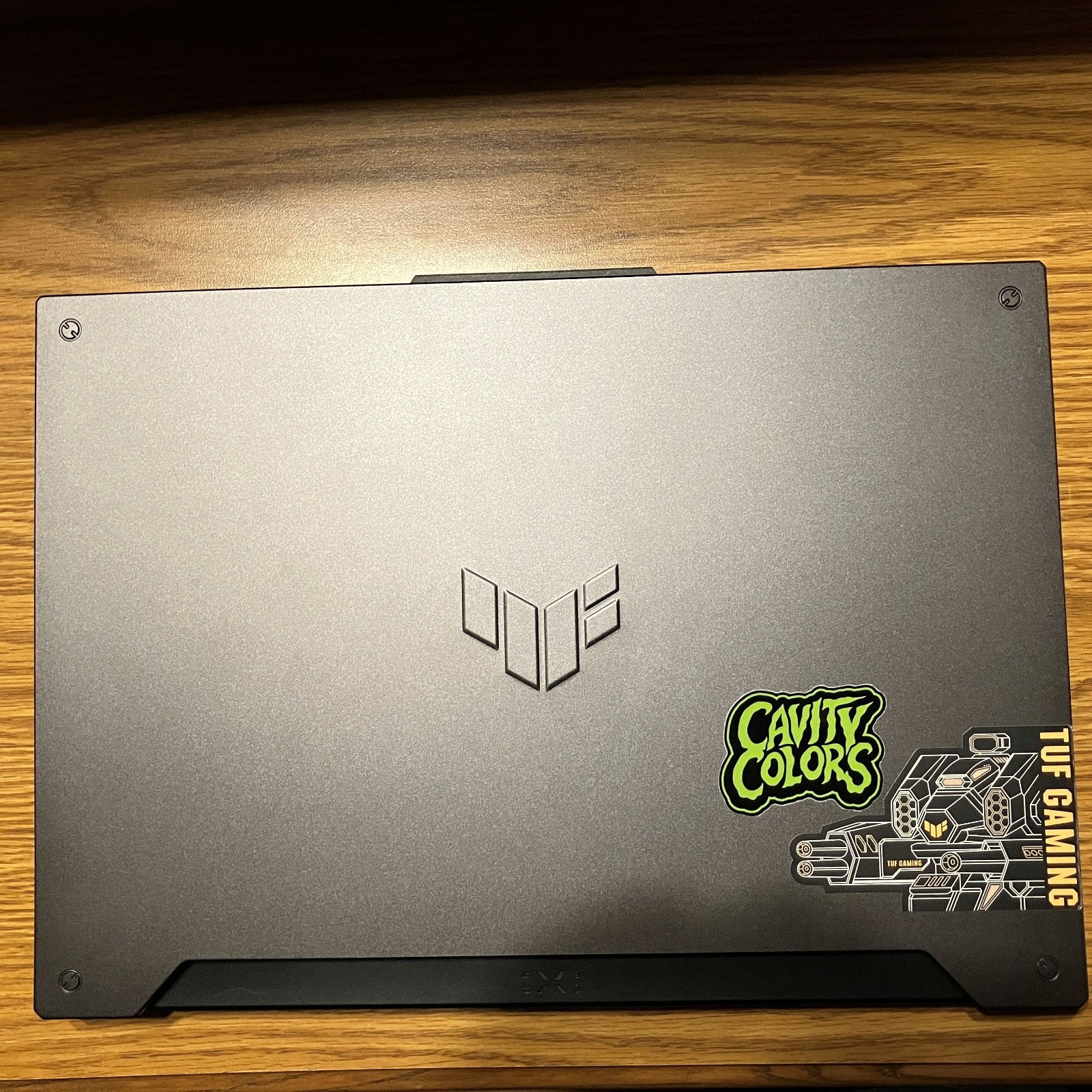 ASUS TUF Gaming A15 (Ryzen 7 6800H, 16GB RAM, RTX 3050TI, 512GB) Laptop *READ*