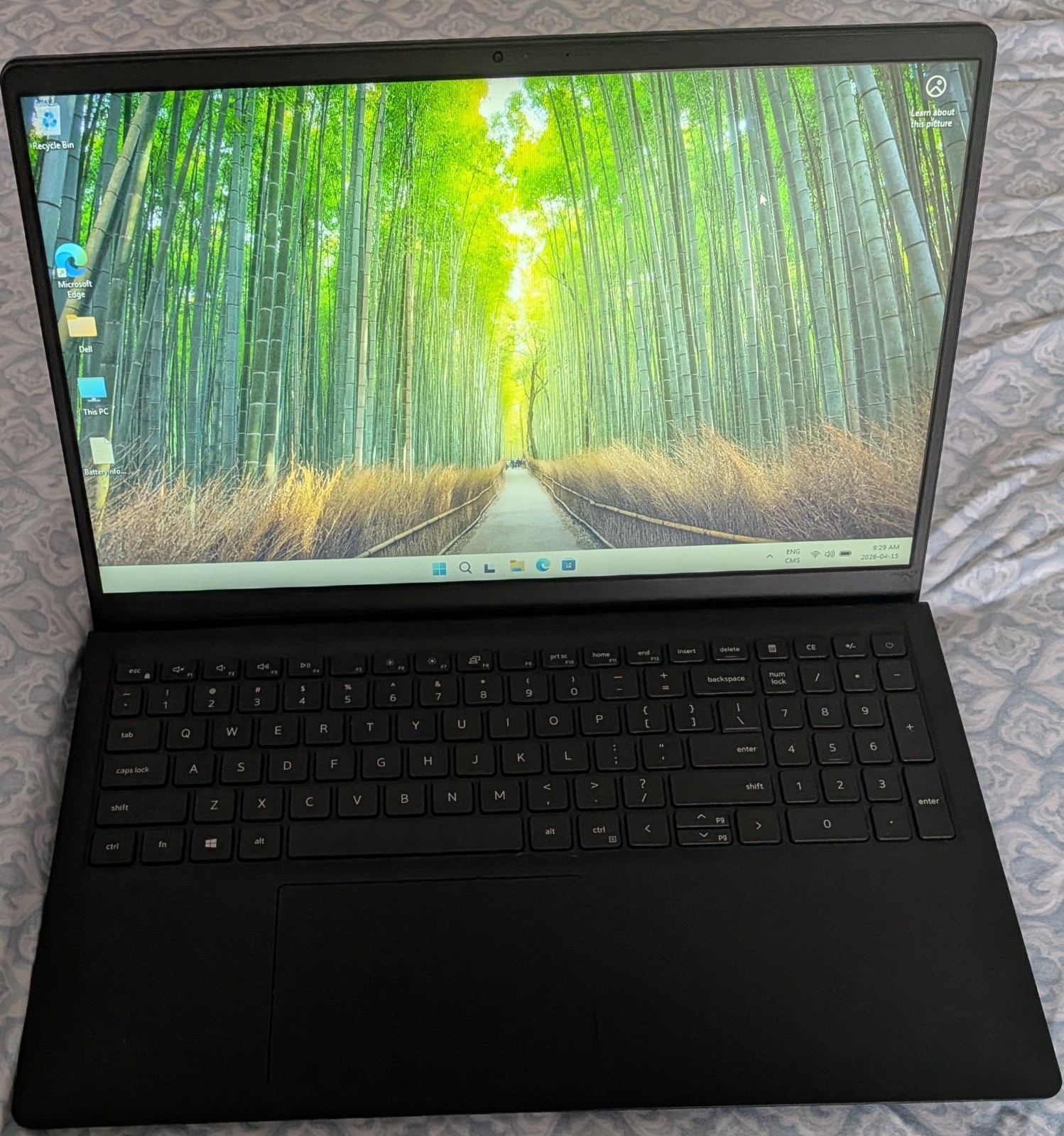 Dell Inspiron 15 3510 Intel Celeron N4020/8GB/256GB NVME/1TB HDD (See Notes)