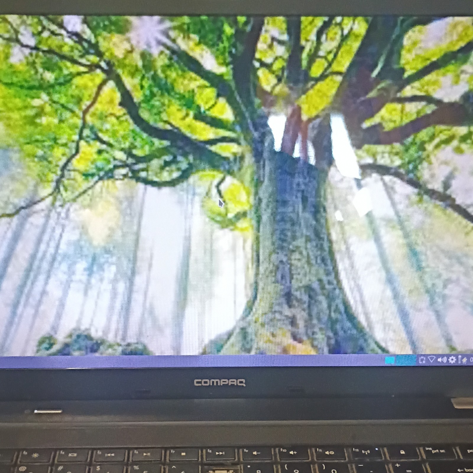 Compaq Presario CQ56 Laptop Intel Celeron Windows 7 15.6″ Black
