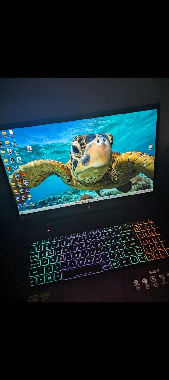 Acer Nitro 17 Gaming Laptop 17.3″ NVIDIA GeForce RTX 4050