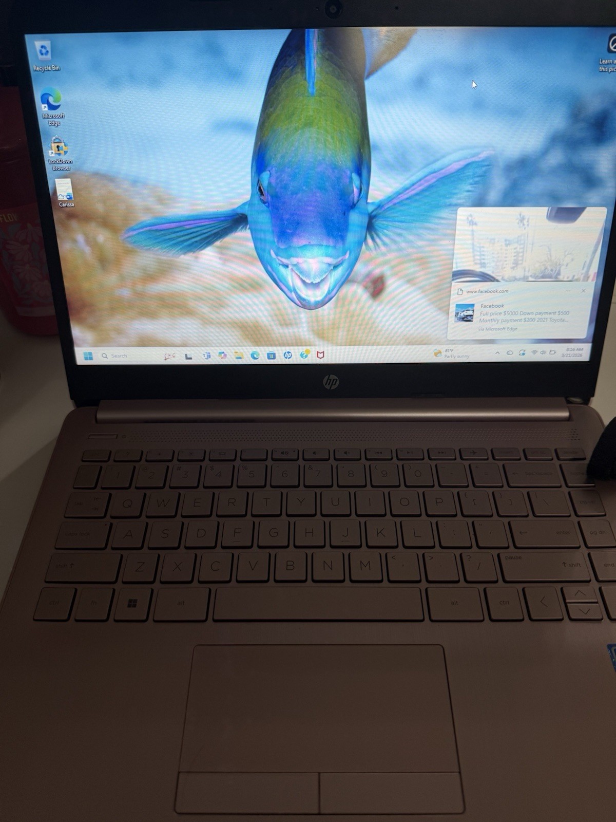 HP 14-cf2112wm 14″ (64GB eMMC, Intel Celeron N4120, 1.10GHz, 4GB RAM) Laptop…