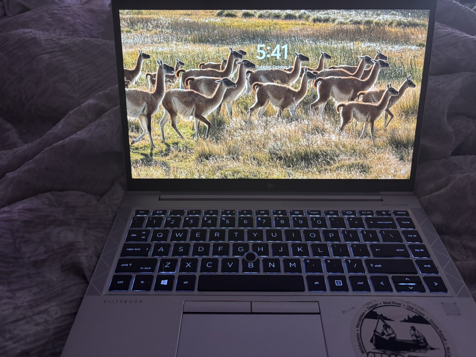 HP EliteBook 845 G7 14” (512GB SSD AMD Ryzen 5 Pro 4650U 2.1GHz 16GB RAM)…