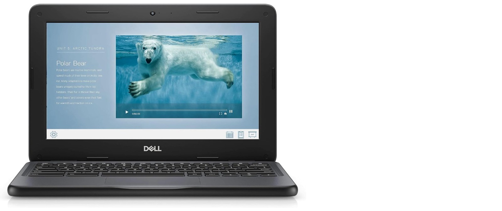 Dell Chromebook 11 3100 11.6″ Chromebook – 1366 x 768 – Celeron N4020-4 GB RAM –