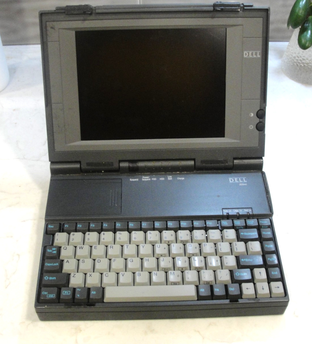 Vintage Dell 325NC 1st Color Notebook Laptop
