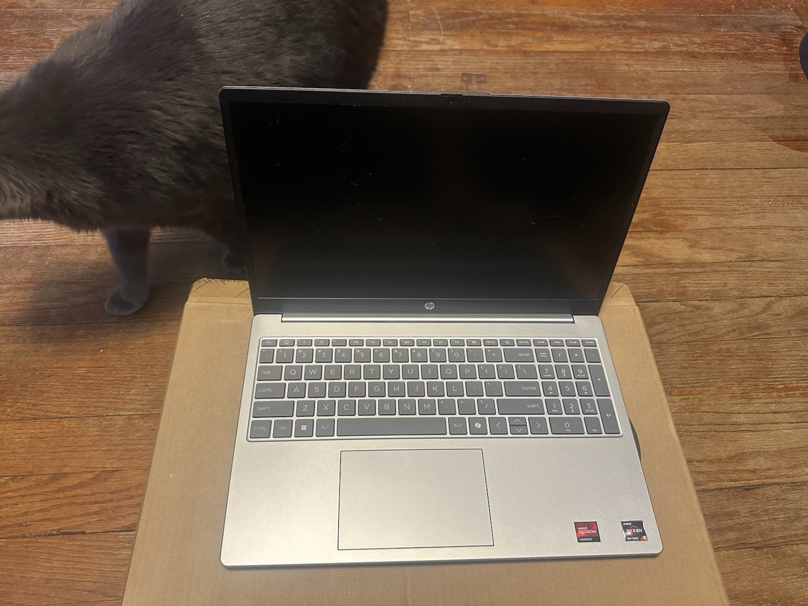 Slightly Used Silver HP Laptop Ryzen 700 Series Graphics 8 GB