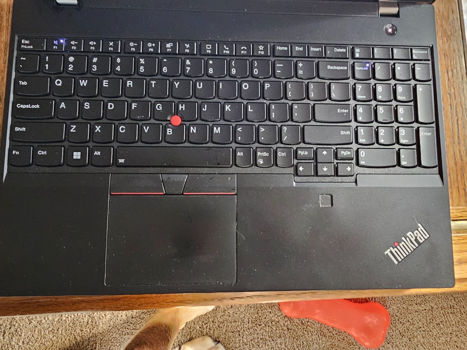 Lenovo thinkpad P15v gen1