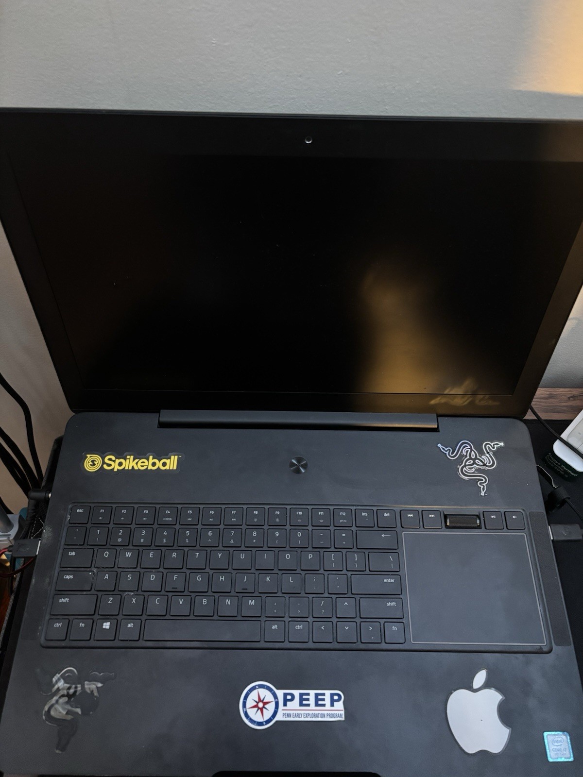 Razer Blade Pro 17 RZ09-02202 i7-7700HQ 2.8GHz 16GB 1.8TB SSD GeForce GTX 1060
