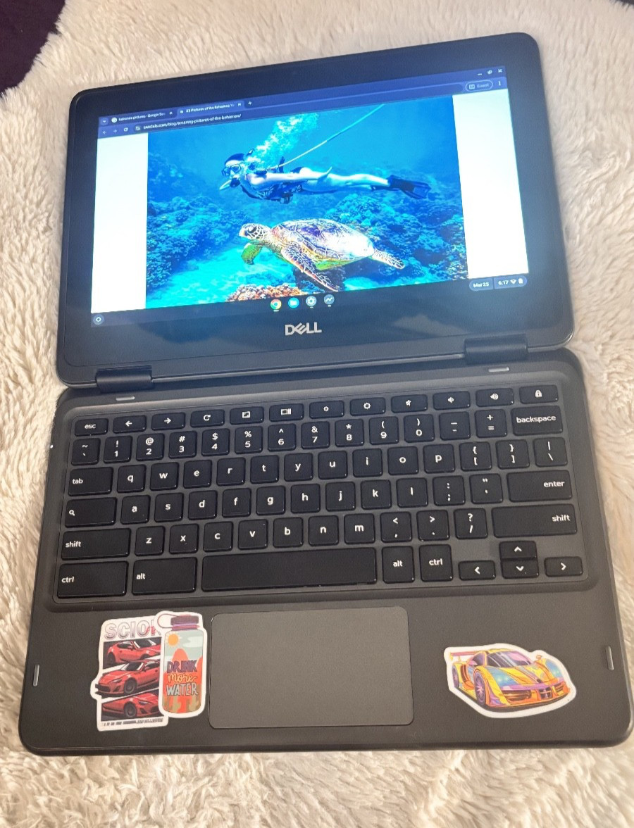 Dell Chromebook 3100 2-in-1 11.6” Touchscreen Intel N4020 4GB RAM USB-C Charger