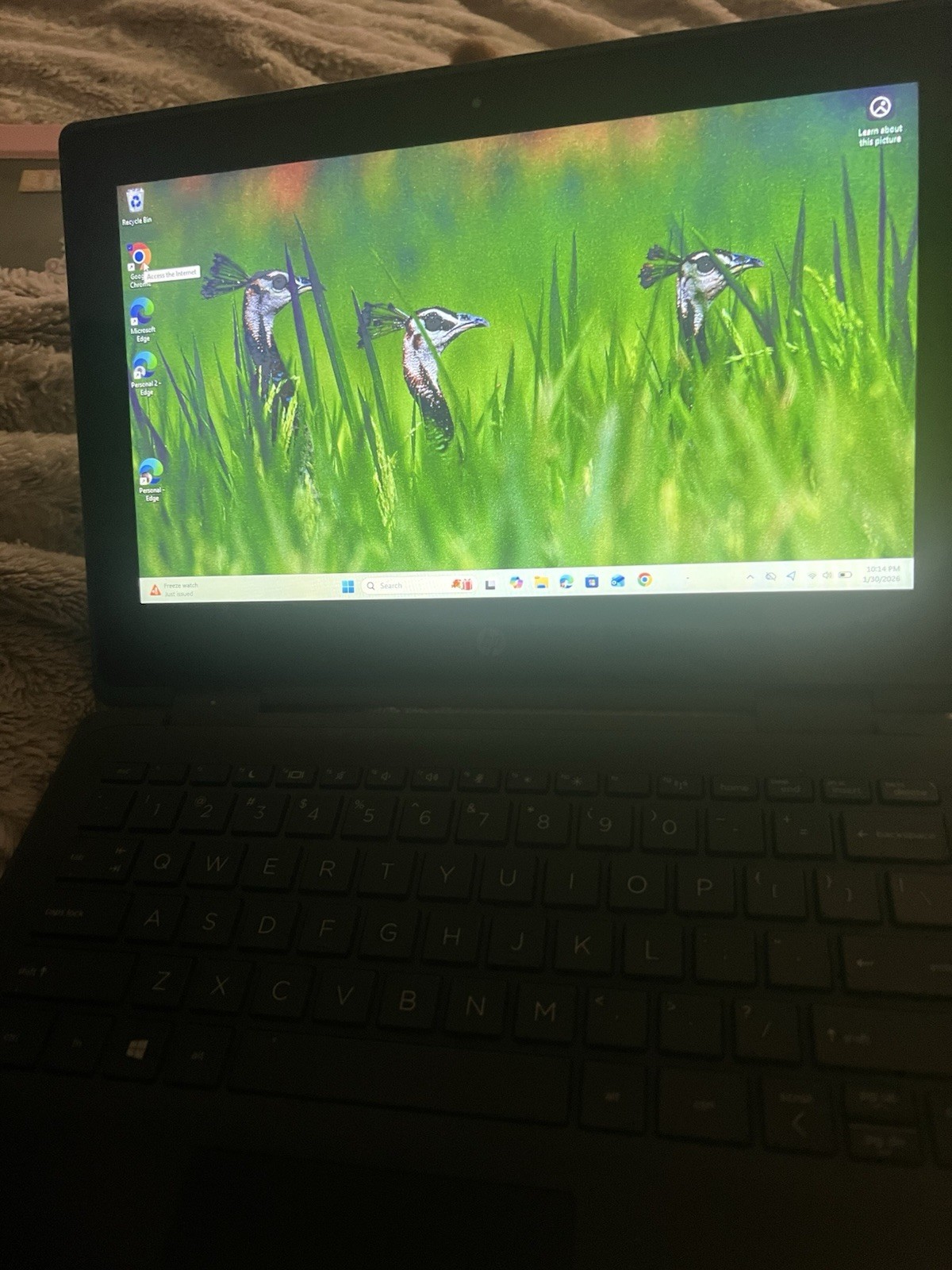 HP 14 inch (64GB, Intel Celeron N, 2.80GHz, 4GB) Laptop – White – 47X83UAABA