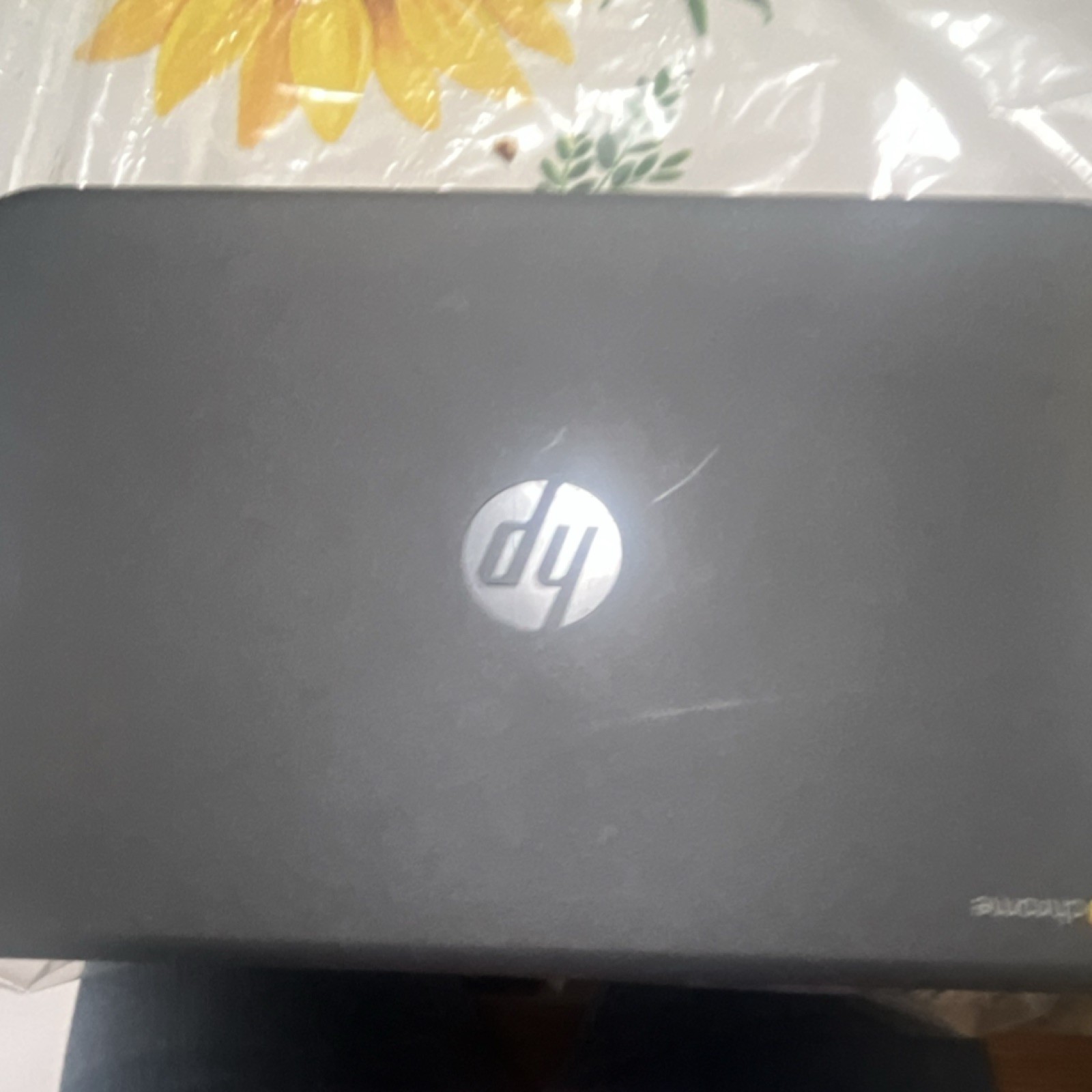HP Chromebook 14″ Laptop Black Chrome OS Built-in Webcam Wi-Fi Casual Computing