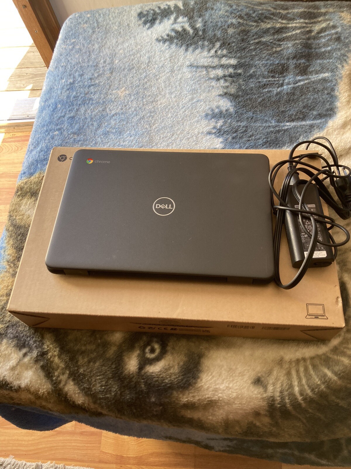 Dell Chromebook 3100