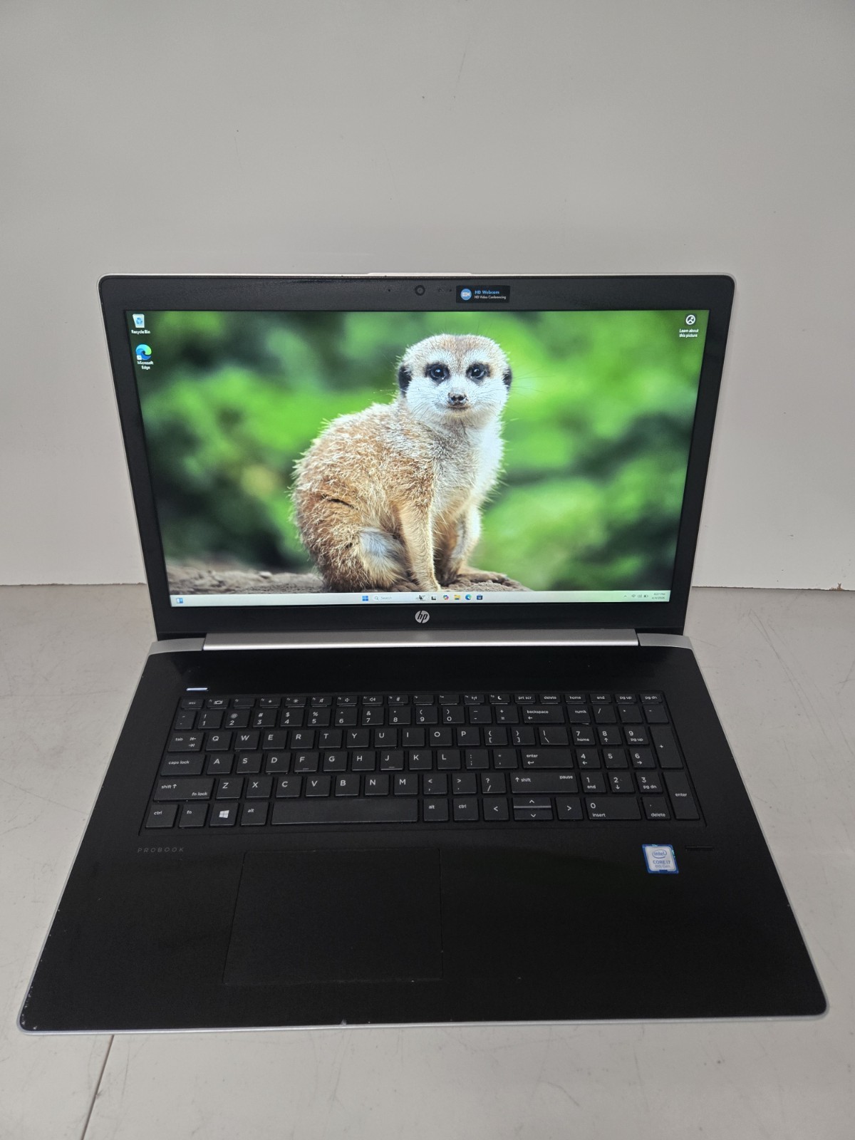 HP ProBook 470 G5 (Win11 / 17.3″ / Core i7-8550U / NVIDIA / 16GB / 256GB NVMe)