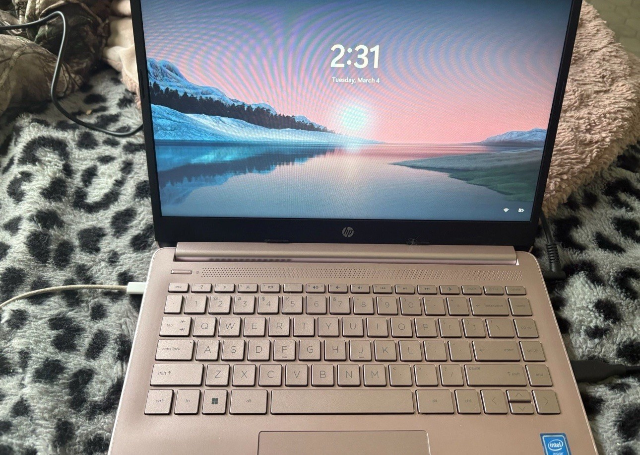 HP Stream 14 inch Windows Laptop Intel Celeron 4GB Memory / 64GB eMMC Pink