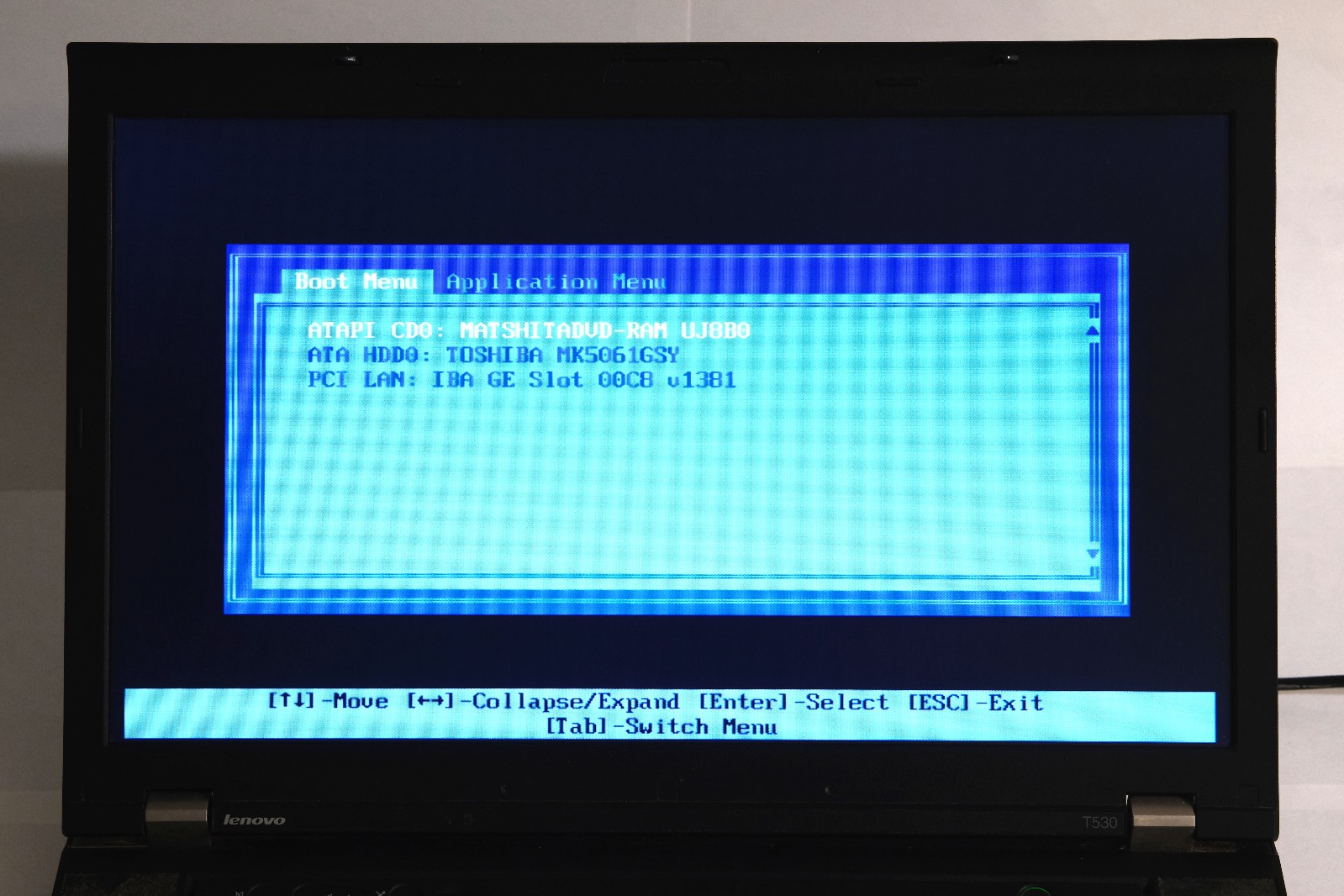 Lenovo ThinkPad T530 8GB RAM 500GB HDD+DisplayPort cable No OS or Battery (READ)