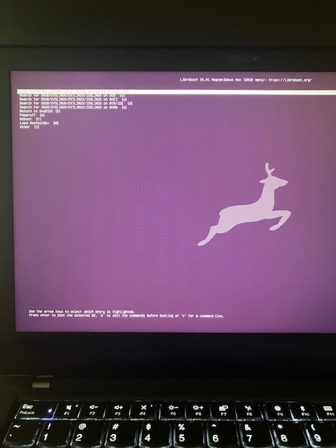 Libreboot ThinkPad T480 i5-8250U 16GB 500GB NVMe Linux Privacy Laptop coreboot