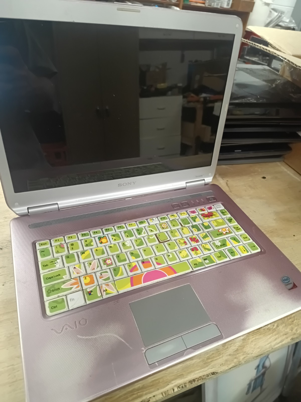Lot of 10 Laptops UNKNOWN CONDITION (Lot2)