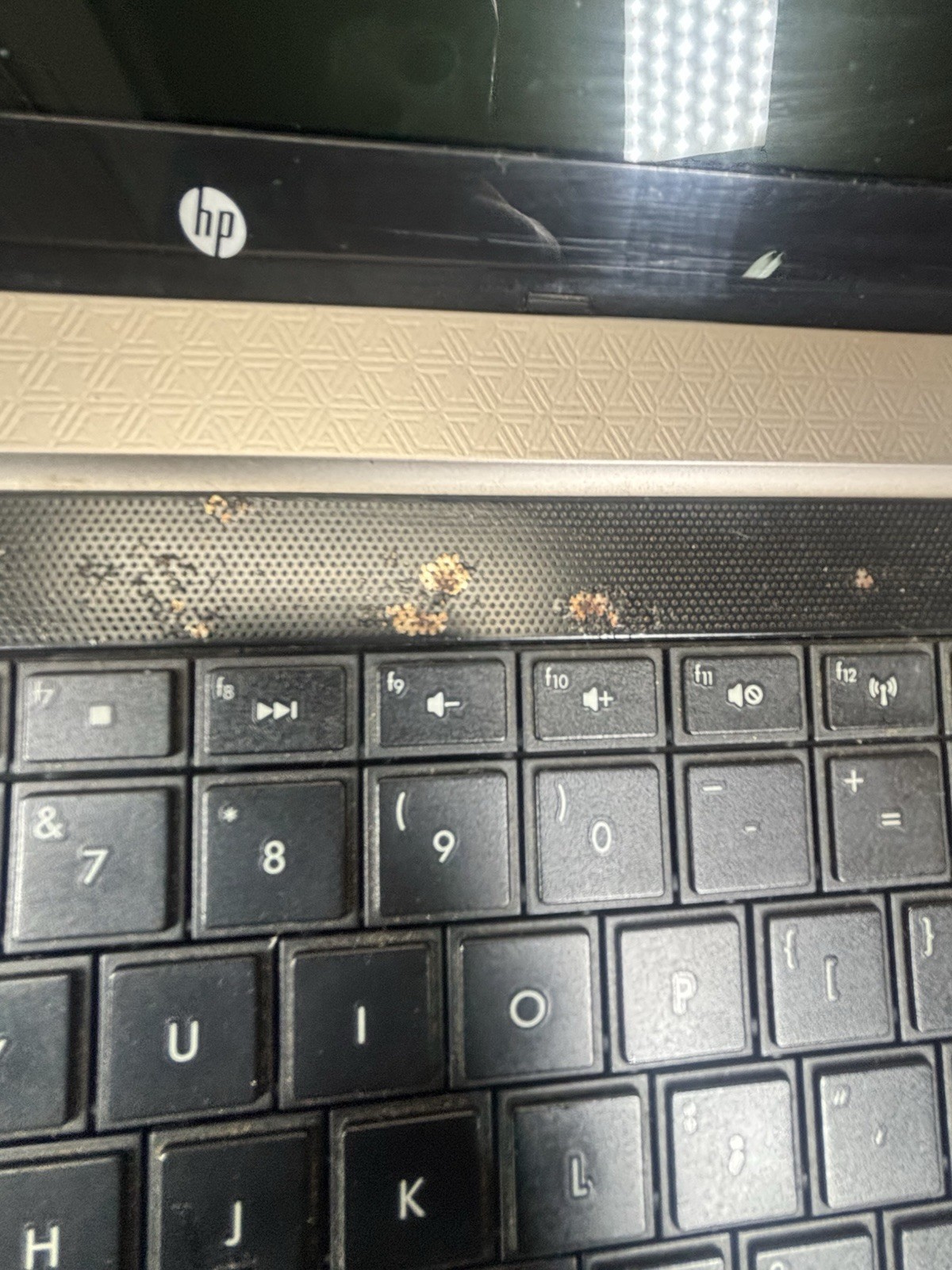 HP G42 14in Notebook Laptop AMD E-Series 1.60GHz 3GB 250GB HDD Win7 Webcam