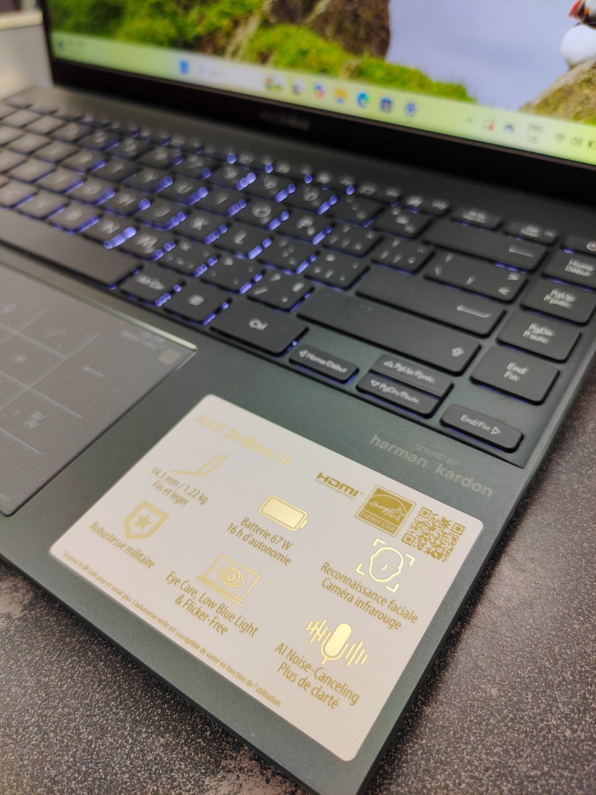 Asus Zenbook 14 (UM425UA) 14″ FHD Laptop with AMD Ryzen 5 5500U/8GB/512GB/Win11