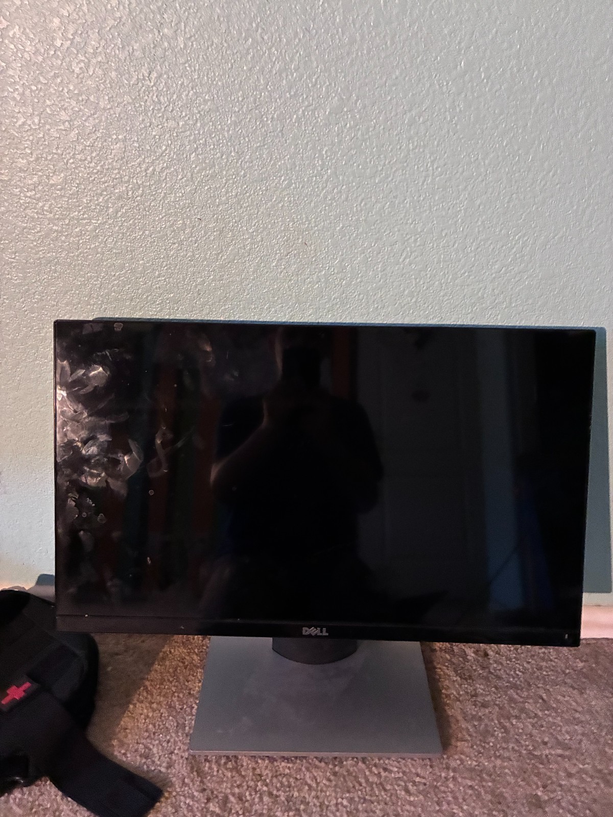 monitor dell (older model)