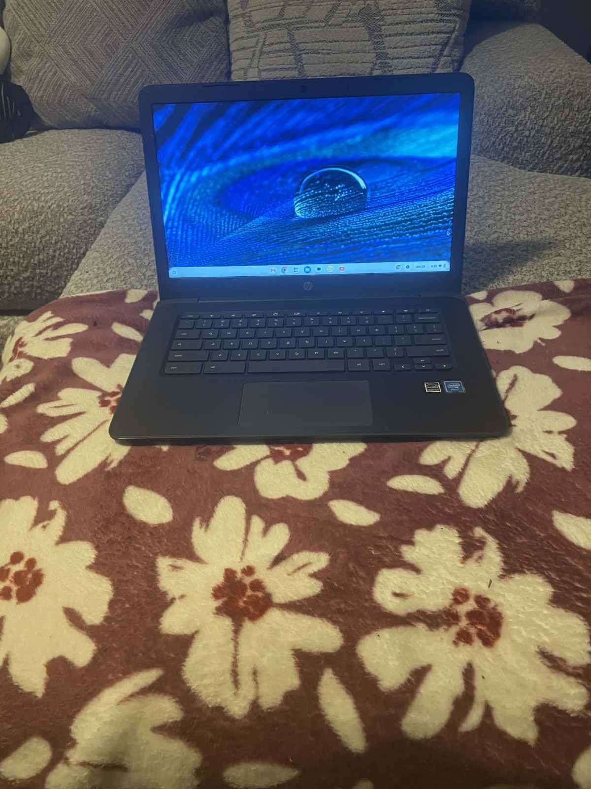 HP Chromebook 14 G5. Intel Celeron Chrome OS Grey Laptop w/ Built-In Webcam&Mic