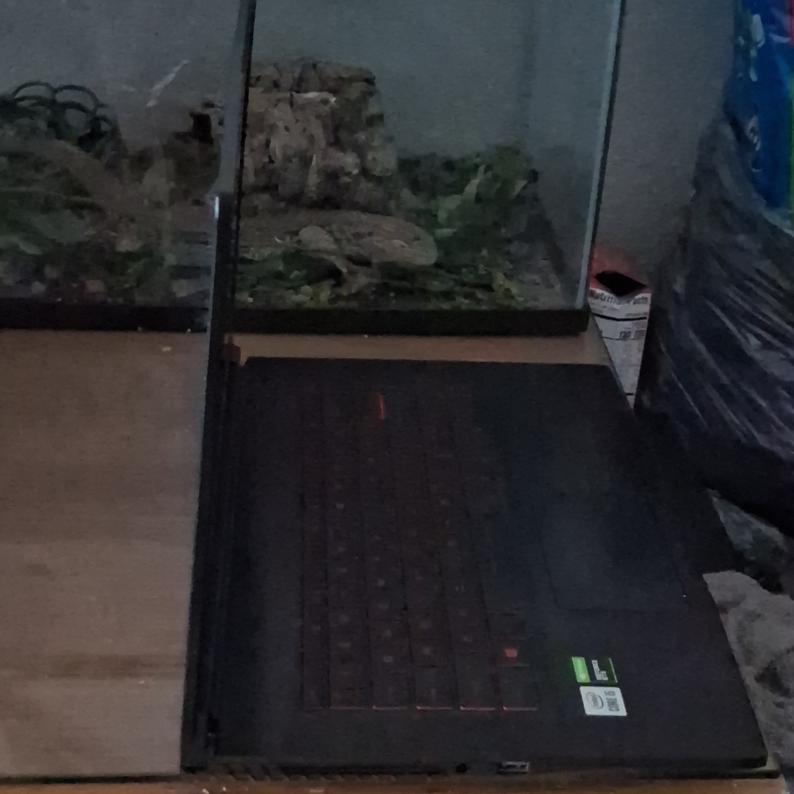 MSI Gaming Laptop Intel Core i5 NVIDIA GeForce GTX Black Backlit Keyboard