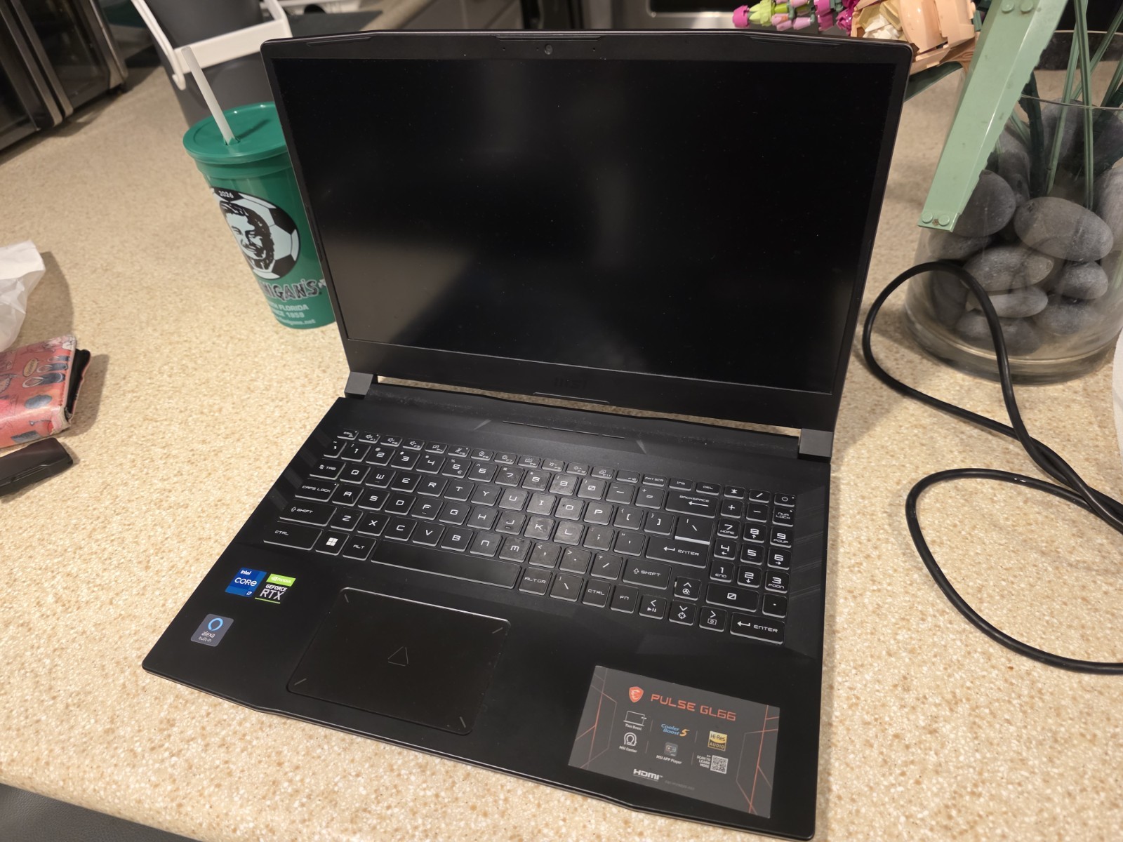 MSI Pulse GL66 Gaming Laptop Intel I7 Ram 64 GB RAM 2.5 TB SSD Window 11 Home