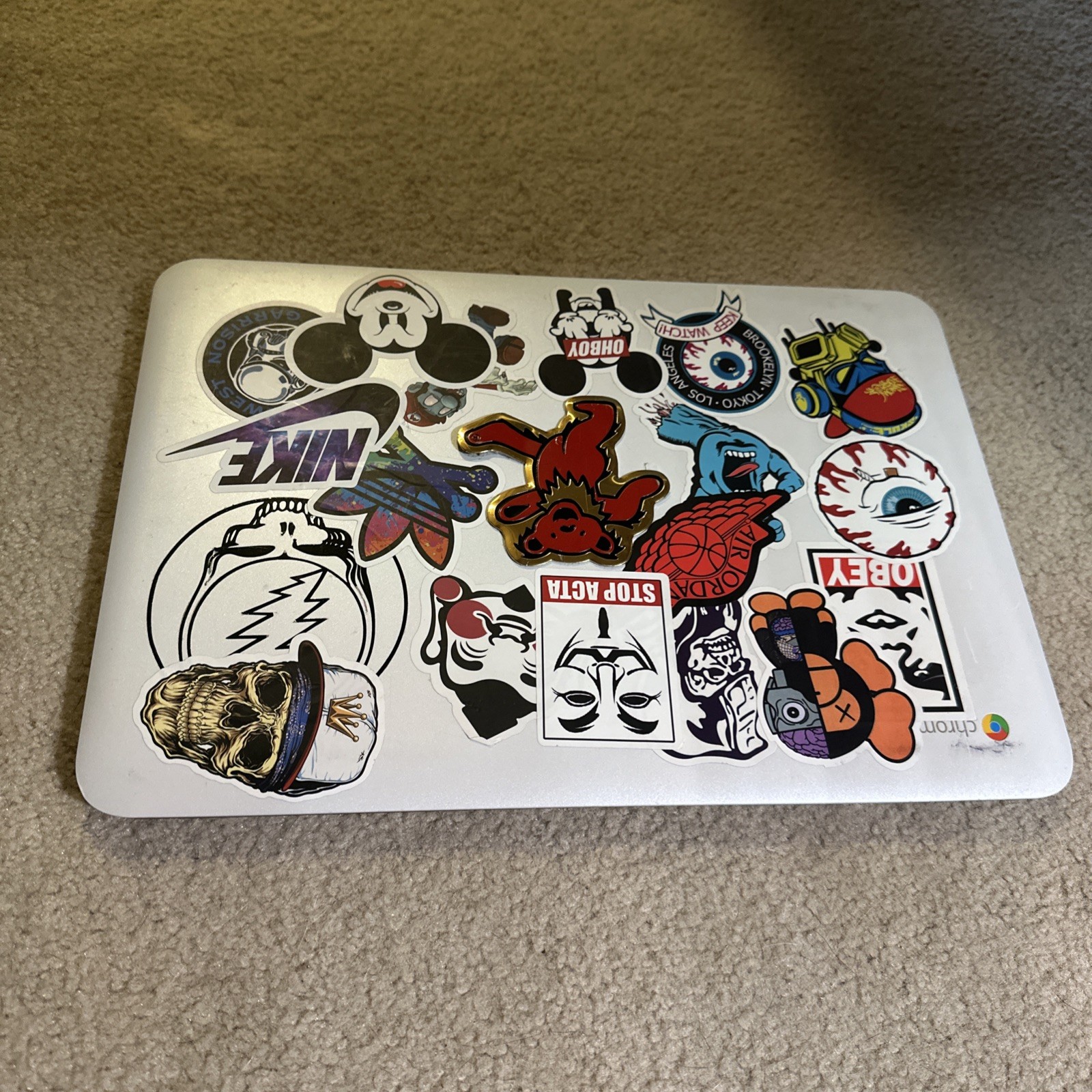 HP Chromebook 14 Turns On Comes With Charger
