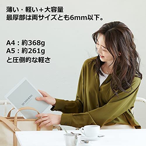 FUJITSU QUADERNO FMVDP41 electronic paper A4 size 13.3inc USB2.0 Type-C Japan