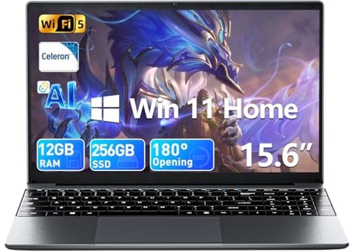 15.6 inch Laptop with Office 365, 12GB RAM 256GB SSD, Win 11 Laptops Gray