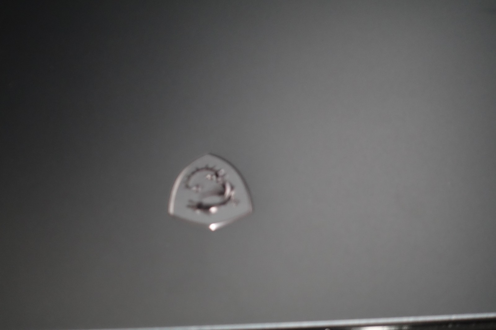 MSI GE76 Raider Gaming Laptop i7 11800h RTX 3070m