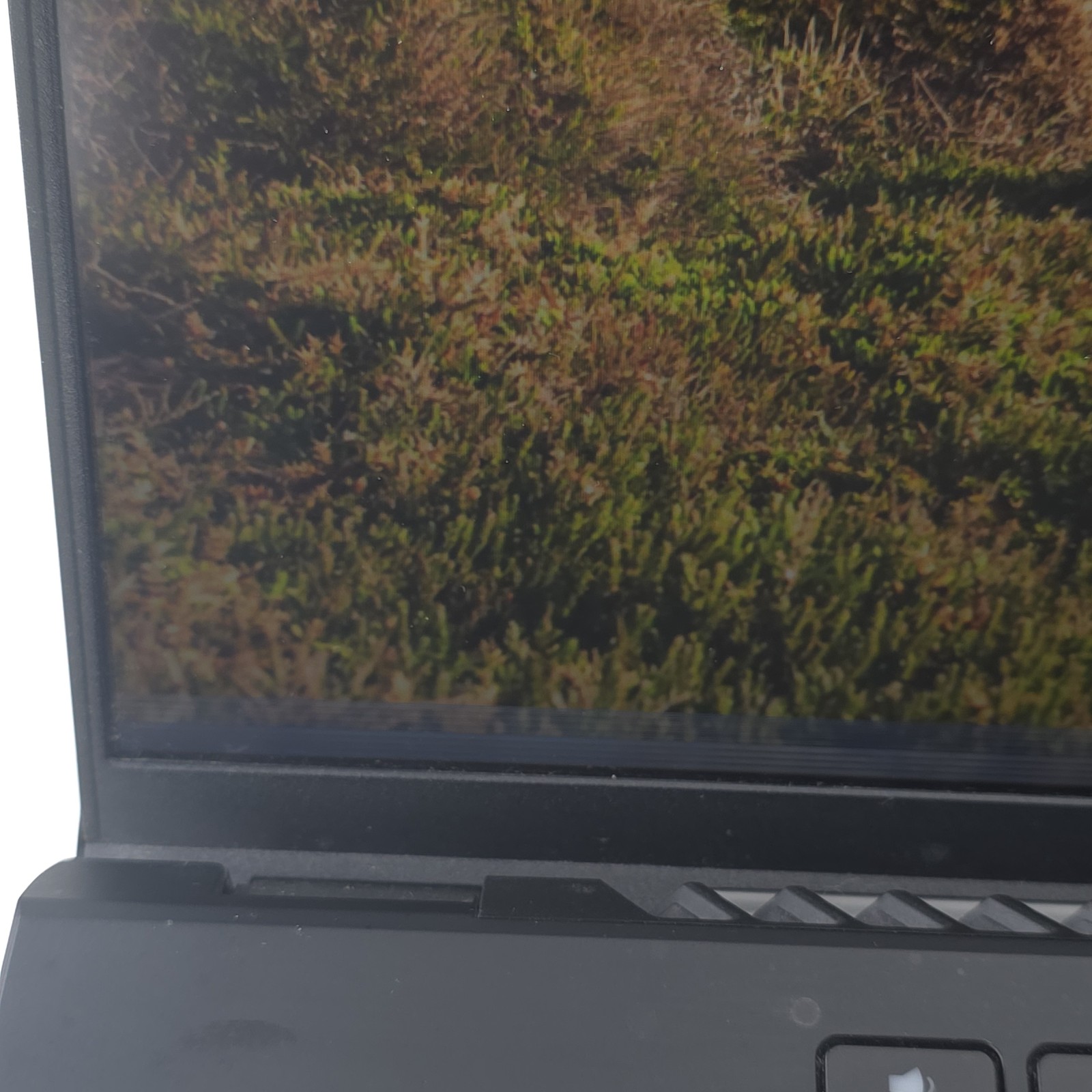ASUS ROG Zephyrus M16 1TB SSD 2.5GHz Intel i9-11900H 16GB RTX 3060, SCREEN DAM.
