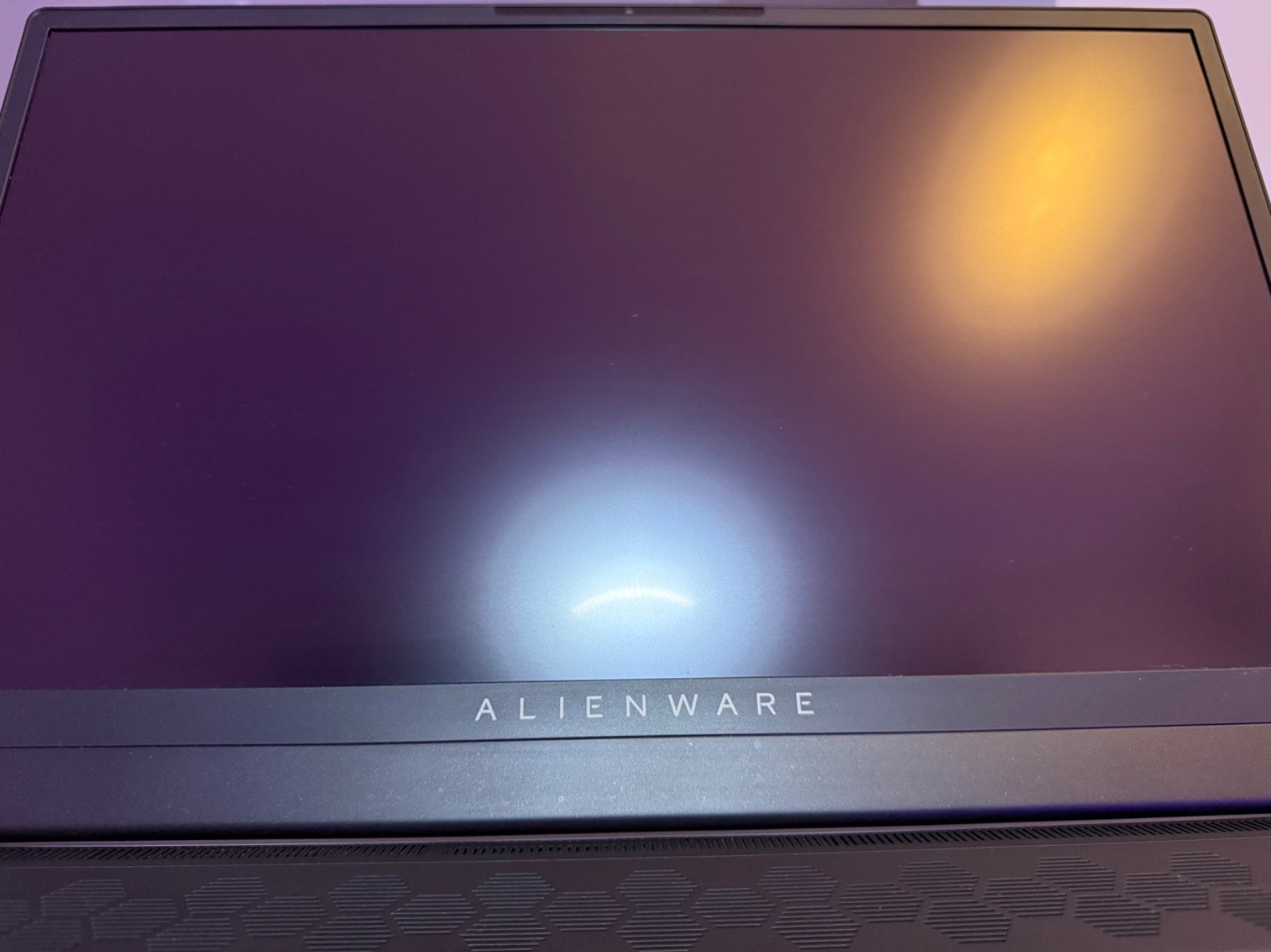 Alienware x17 R2 17.3 in (1TB SSD, Intel Core i9 12th Gen., 3.8GHz, 32GB RAM,…