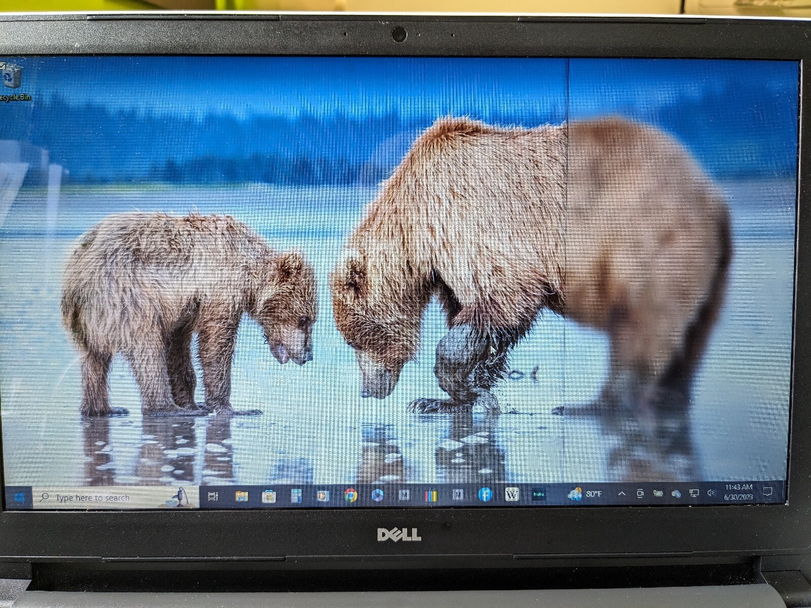 Dell Inspiron 5555 15″ AMD A10-8700P 1.80GHZ