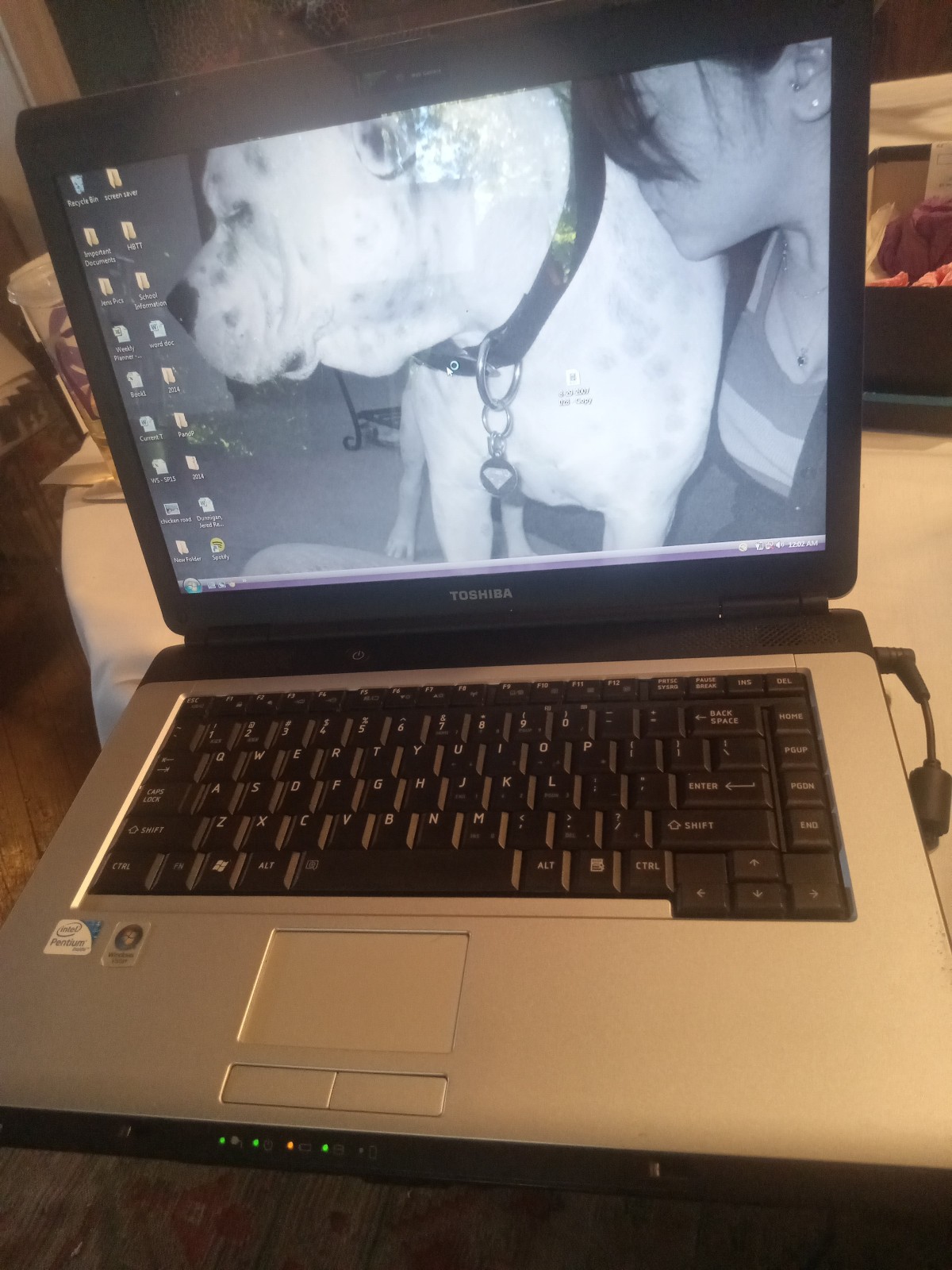 Toshiba Satellite PSLB8U-106061 Laptop Intel Pentium R Dual Core 2GB Working