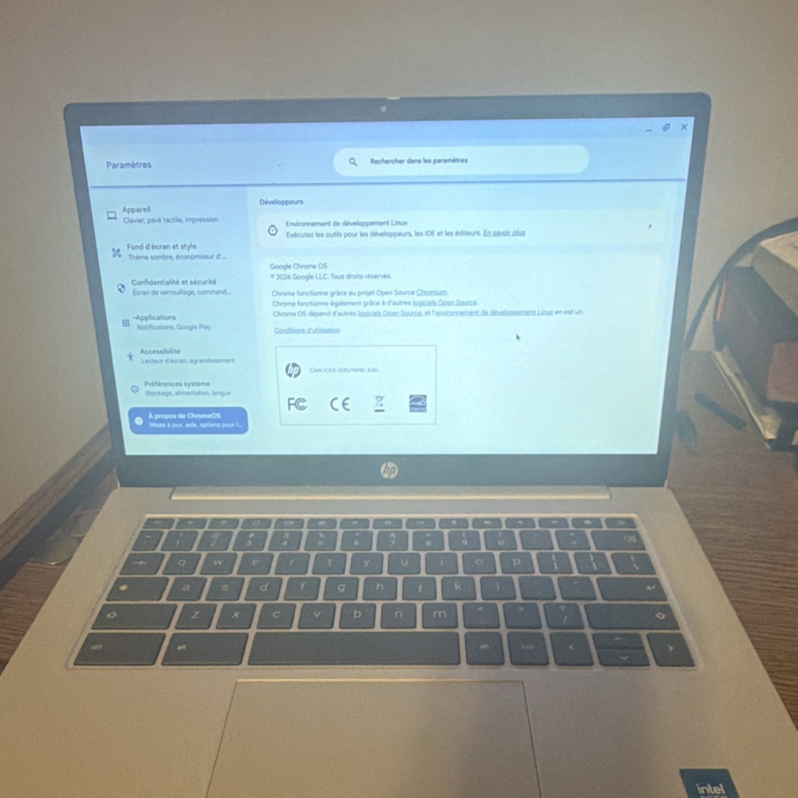HP Chromebook Notebook Laptop Silver Chrome OS Sleek Design Portable Computer
