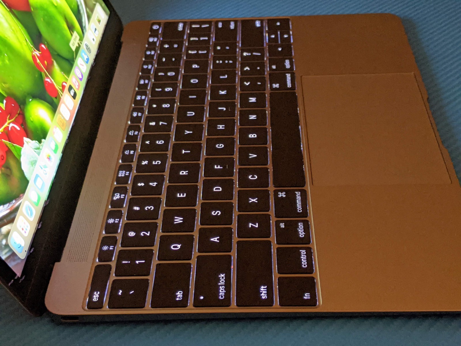 Apple MacBook 12″EARLY-2016 A1534 MLHA2LL/A M3-6Y30 1.1Gh 8GB 256GB SSD Monterey