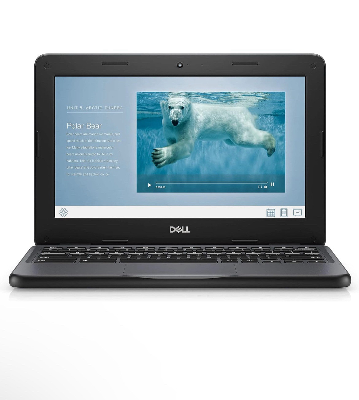Dell Chromebook 11 3100 11.6 inch (32GB,