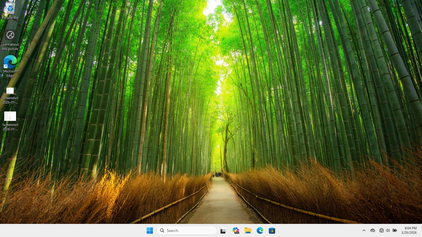 Windows 11 Pro 15.6 Lenovo ThinkPad T540p i7-4700MQ 2.40GH 16GB RAM