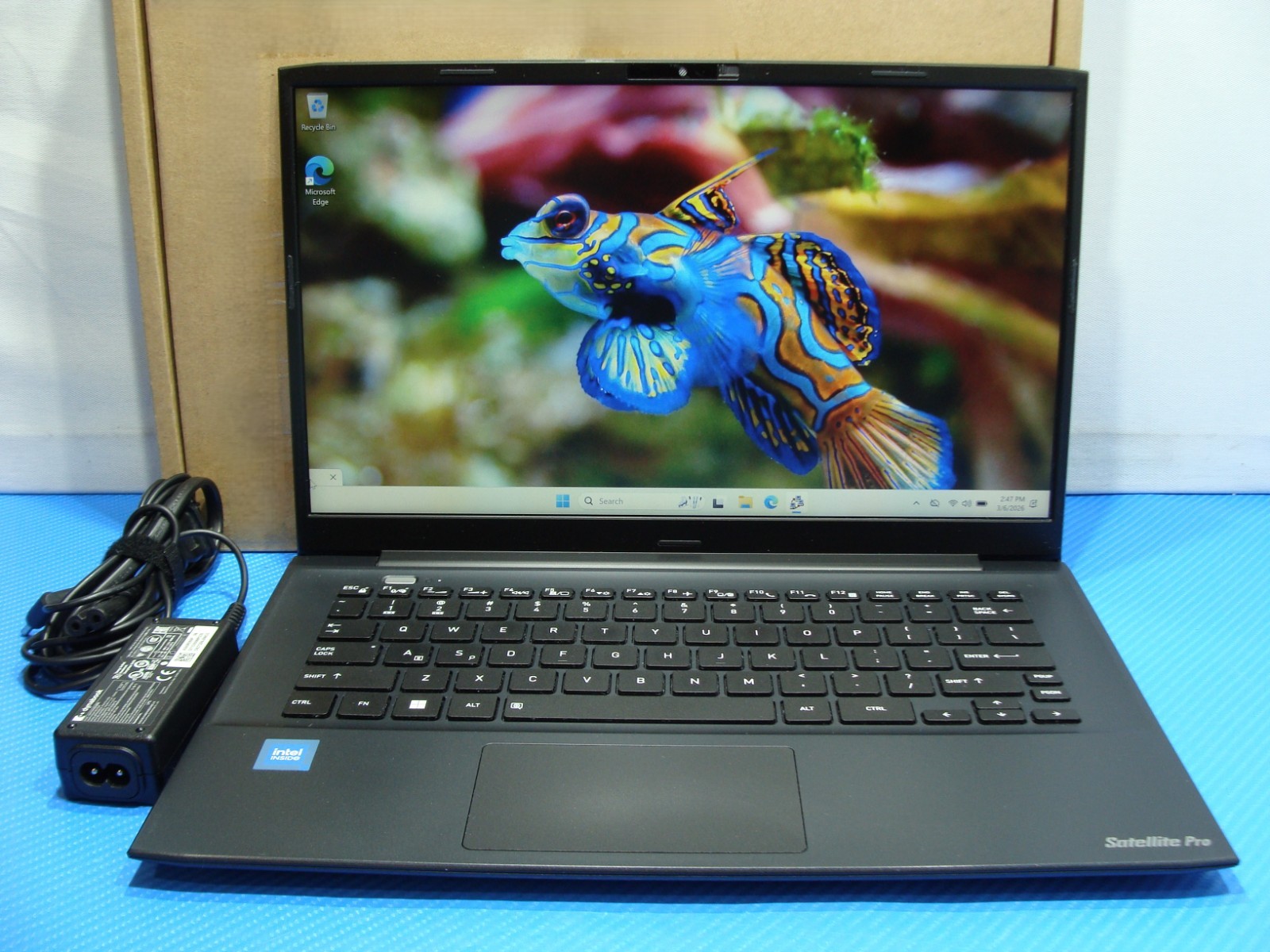 DynaBook Satellite Pro C40-K Intel Celeron 7305 1.1 Ghz 8GB 256GB SSD Win11P +PA