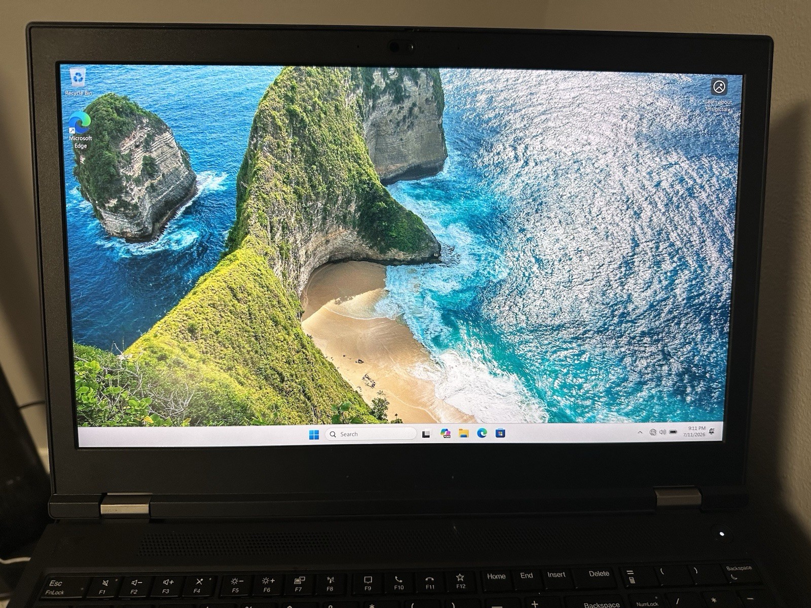 Lenovo ThinkPad P15 Gen 1 i9 Pro| 500G | WIN 11 | With Charger & Docking Station