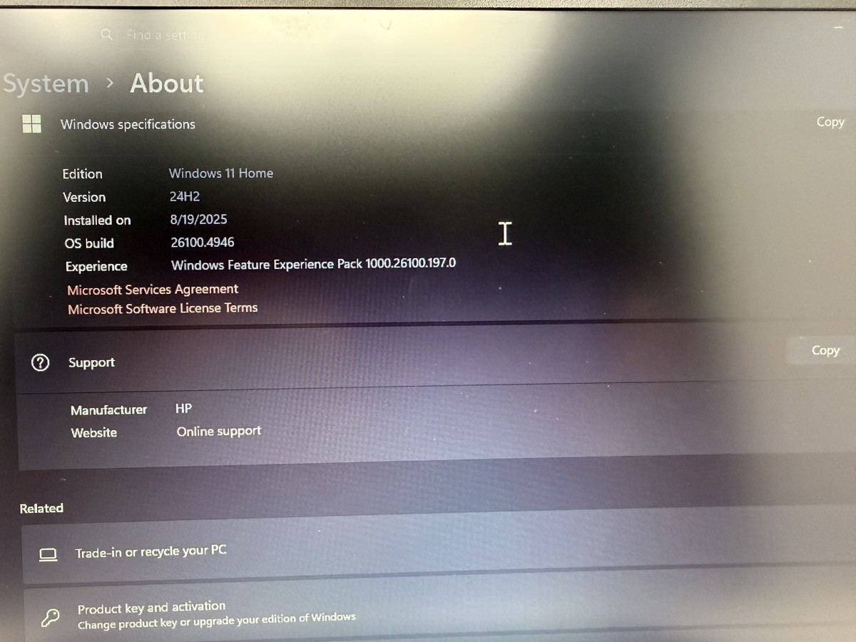 HEWLETT PACKARD 255 G10 (G81000607)